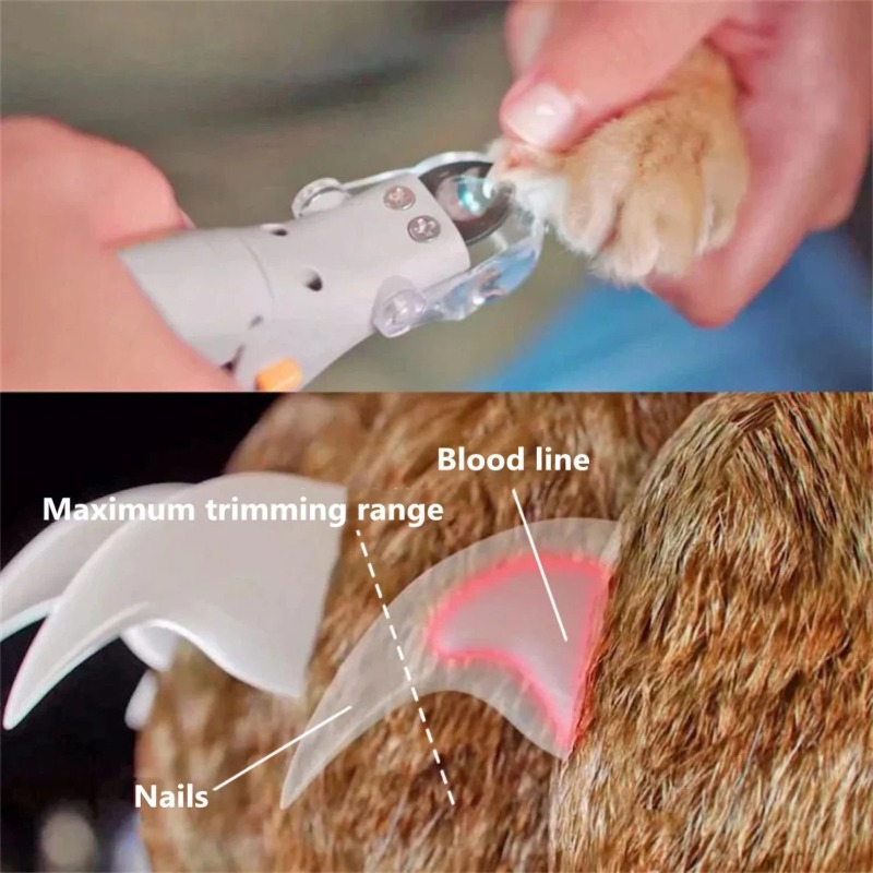 Cortador de Unhas para Animais - Dog Grooming Clippers avaliação e preço