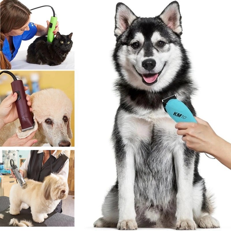 Lâmina larga de animal destacá - Dog Grooming Clippers avaliação e preço