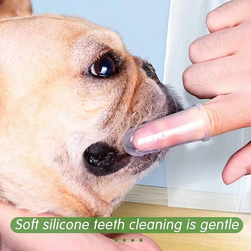 Escova de dentes super macia p - Pet Supplies Dog Food avaliação e preço