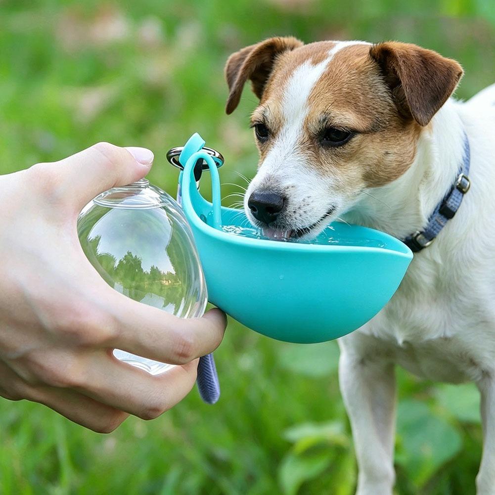 Tigela de Silicone para Beber  - Pet Supplies Dog Food avaliação e preço