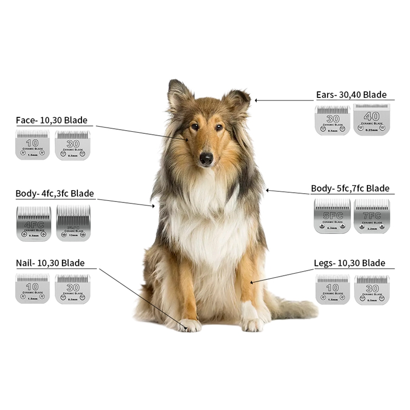 Lâmina cerâmica destacável pro - Dog Grooming Clippers avaliação e preço