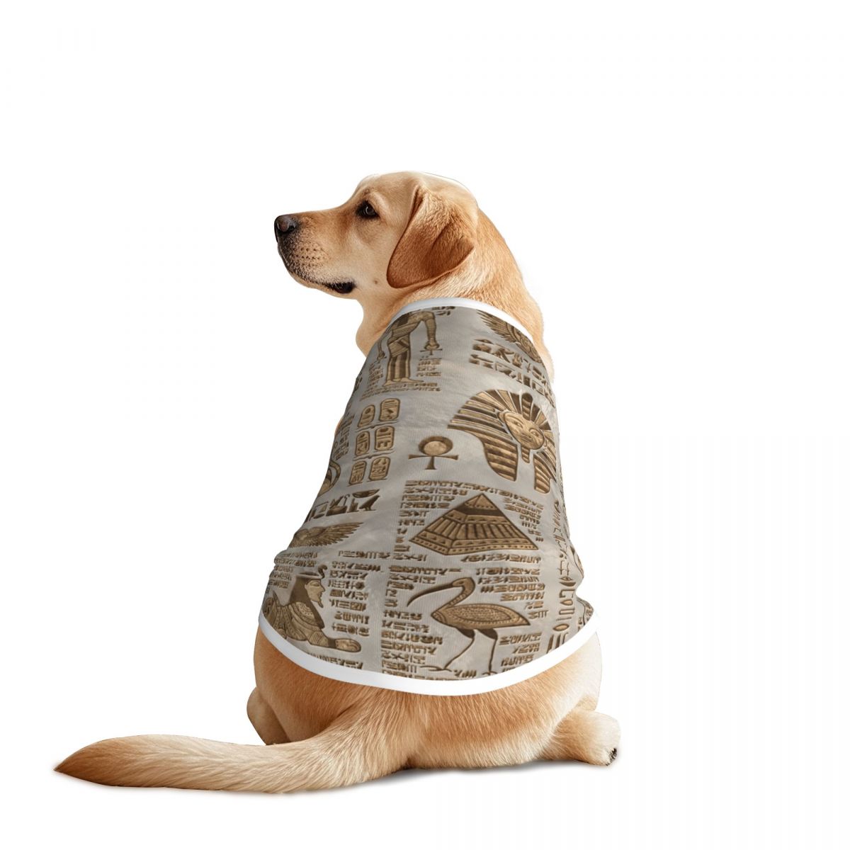 Hieróglifos egípcios e divinda - Pet Supplies Egypt avaliação e preço