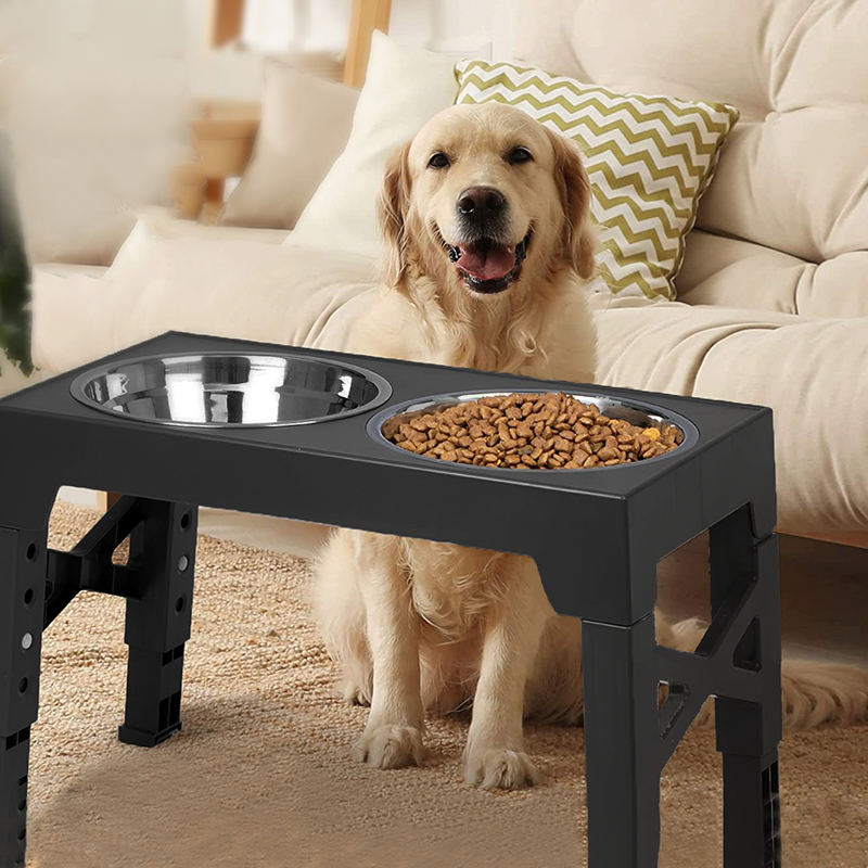 BOOTEELY Tigelas elevadas para - Pet Supplies Dog Food avaliação e preço